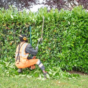 Entretien des espaces verts